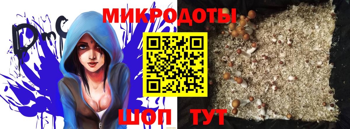 Галлюциногенные грибы Psilocybine cubensis  Вход с VPN  Елизово  Галлюциногенные грибы Psilocybine cubensis 
