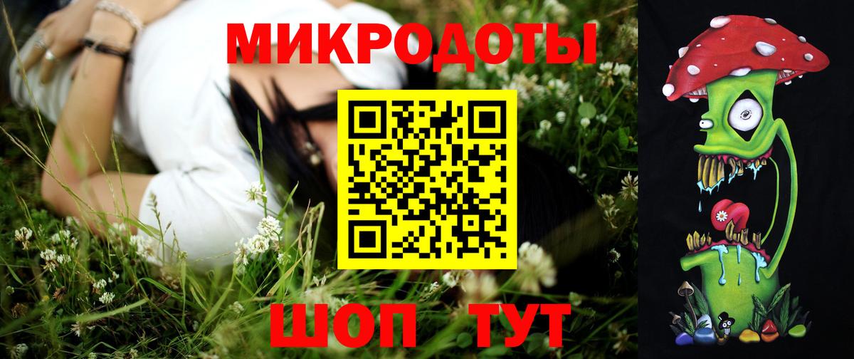 Галлюциногенные грибы Psilocybe Елизово